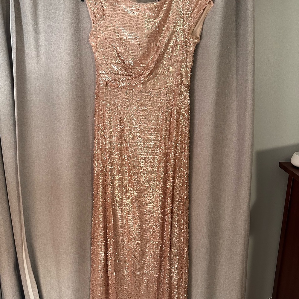 Adrianna Papell Short Sleeve Sequin Gown Size 12